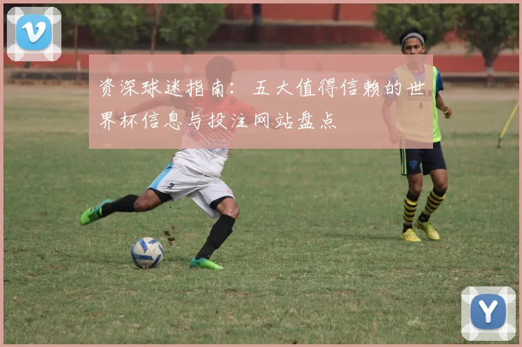 资深球迷指南：五大值得信赖的世界杯信息与投注网站盘点